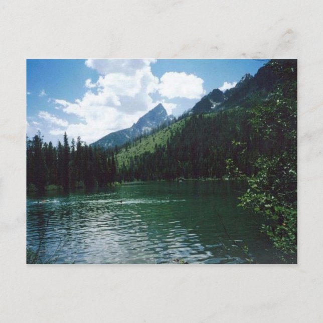 Carte Postale String Lake - Yellowstone (Devant)