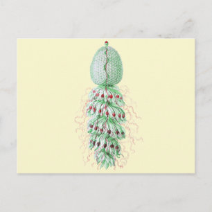 Carte Postale Strobalia