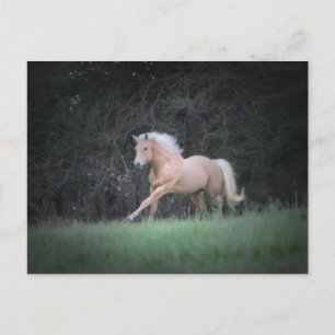 Carte Postale Strong Desire