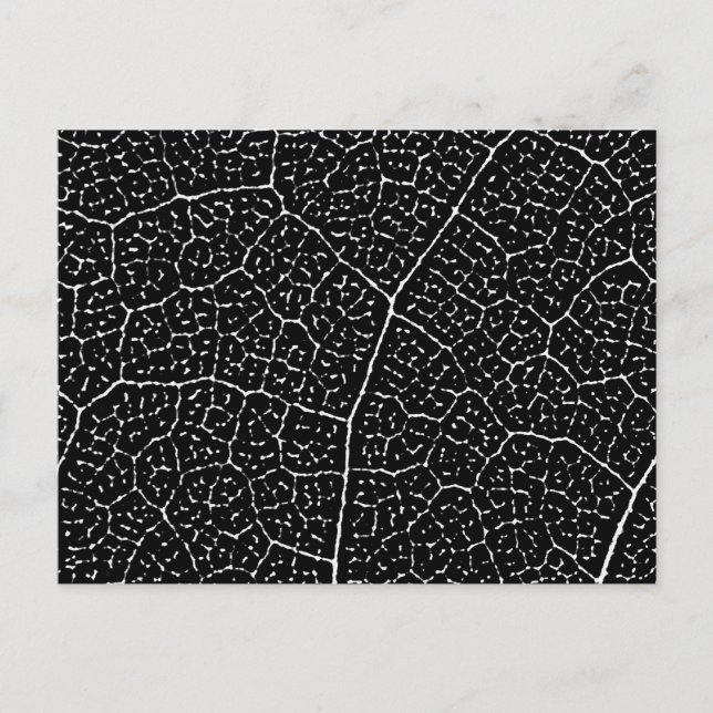 Carte Postale Structure des veines feuille (Devant)