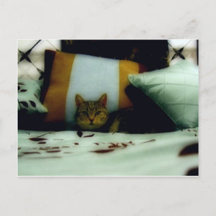 Carte Postale Style Princess Indigo Orion