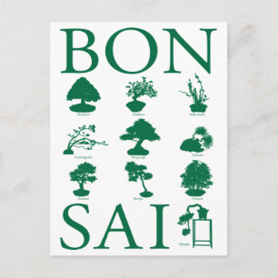 Carte Postale Styles de base de l'arbre Bonsai