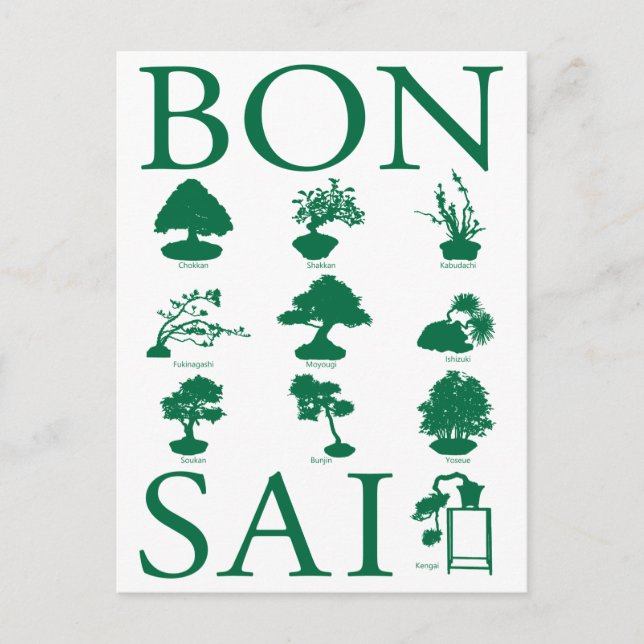 Carte Postale Styles de base de l'arbre Bonsai (Devant)