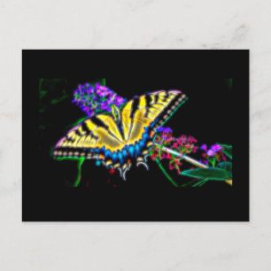 Carte postale Stylisée pour papillon Swallowtail