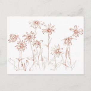 Carte Postale Stylo Sepia Daisies et dessin de fleur d'encre