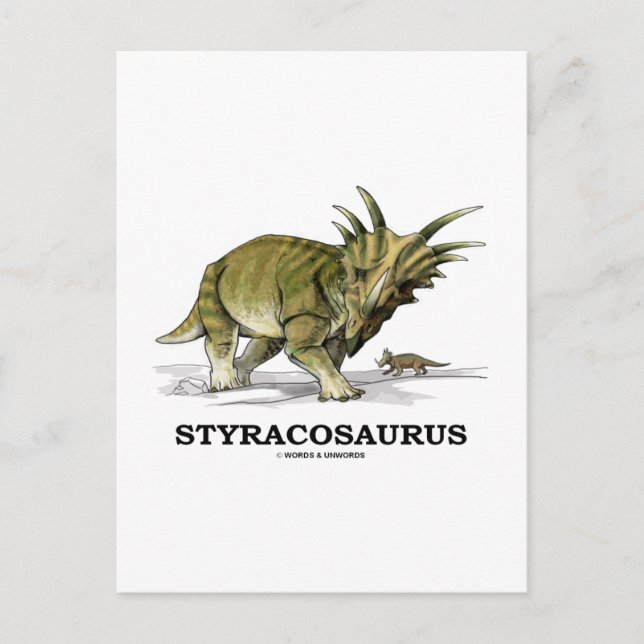 Carte Postale Styracosaurus (Devant)