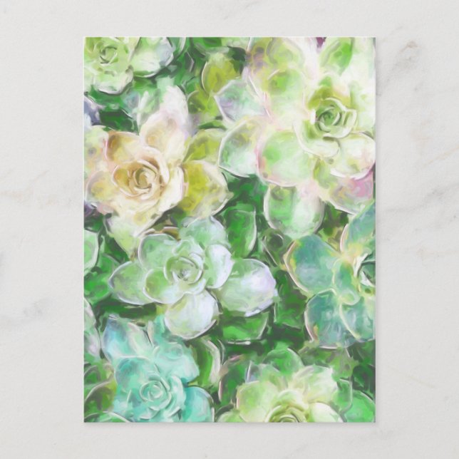 Carte Postale Succulent jardin par Cindy Bendel (Devant)