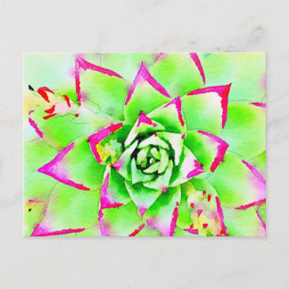Carte postale Succulente Aquarelle Rose