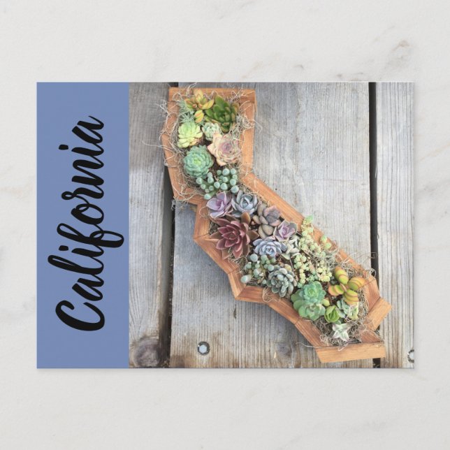 Carte postale Succulente Californie (Devant)
