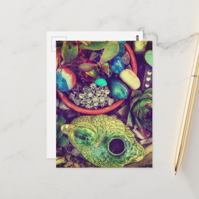 Carte Postale Succulentes et joli art de jardin (Devant/Arrière en situation)