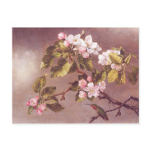 Succursale en fleurs de cerisier