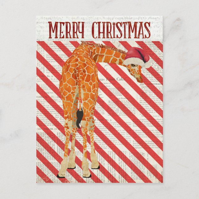 Carte postale Sucre de canne Giraffe (Devant)