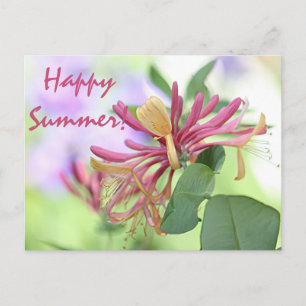 Carte Postale Sucre de miel