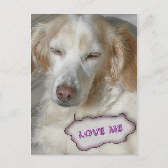 Carte postale sucrée (Devant)