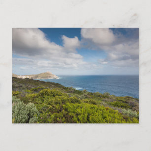 Carte Postale Sud-ouest de l'Australie, Albany
