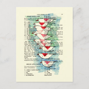 Carte Postale Sud pour l'hiver