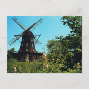 Carte Postale Suède vintage, Malmo, Windmill