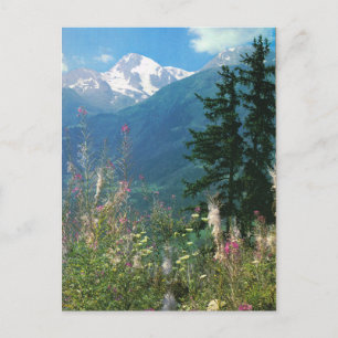 Carte Postale Suisse, région Jungfrau au printemps