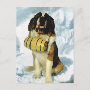 Carte Postale Suisse vintage St Bernard chien avec brandy