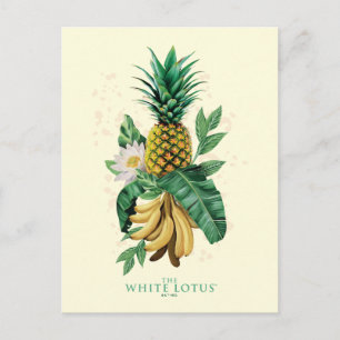 Carte Postale Suite à l'ananas au White Lotus