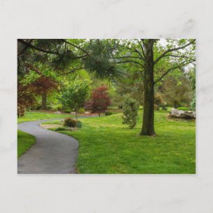 Carte Postale Suivez le chemin pano