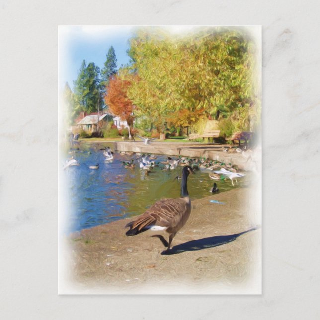 Carte Postale Suivez-moi (Devant)