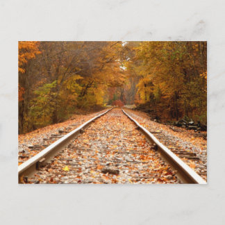 Carte postale Suivi Automne