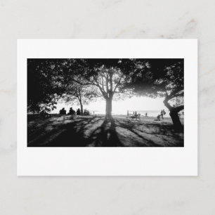 Carte Postale Suivre la lumière 1