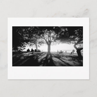 Carte Postale Suivre la lumière 1