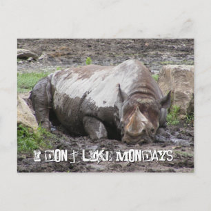 Carte postale Sulking Rhino