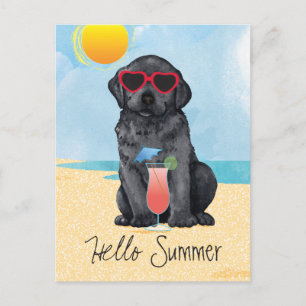 Carte Postale Summer Black Lab