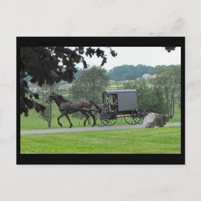 Carte Postale Summer dans le comté de Lancaster 71 (Devant)