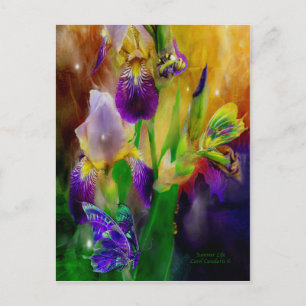 Carte postale Summer Life