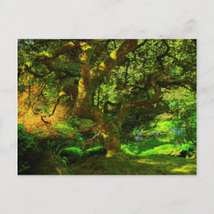 Carte Postale Summer, Portland Japanese Garden, Portland