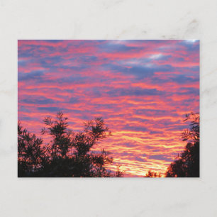 Carte Postale Summer Sunset