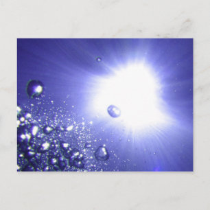 Carte postale Sun Bust