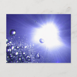 Carte postale Sun Bust