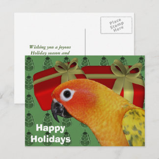 Carte postale Sun Conure Parrot Christmas Holiday