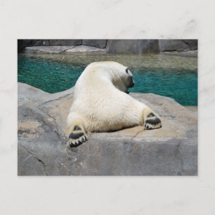 Carte Postale Sunbine