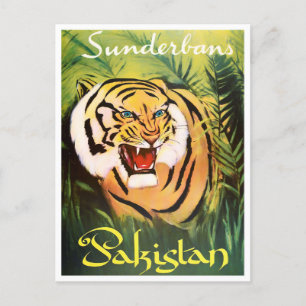 Carte Postale Sunderban National Park Pakistan voyage vintage