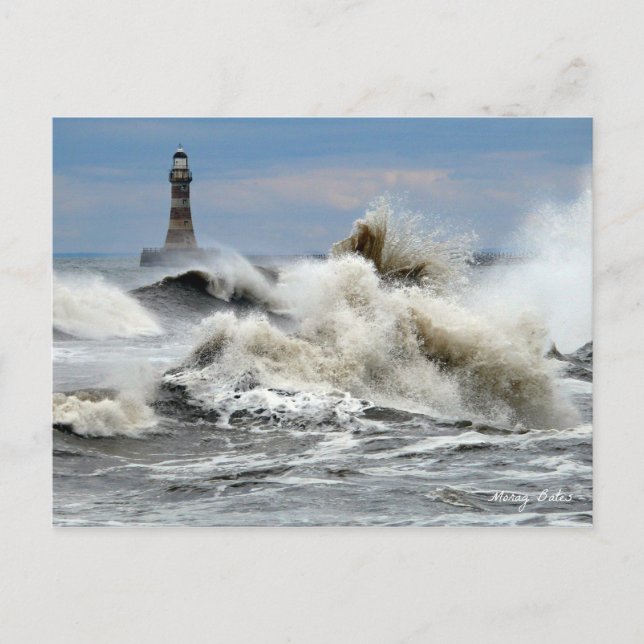 Carte Postale Sunderland - Jetée Roker et phare (Devant)