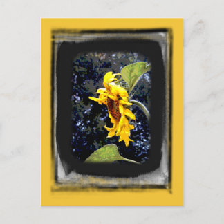 Carte postale Sunflower 1