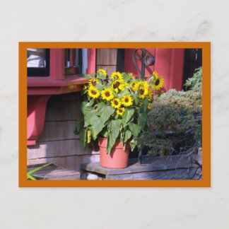 Carte postale Sunflower Pot