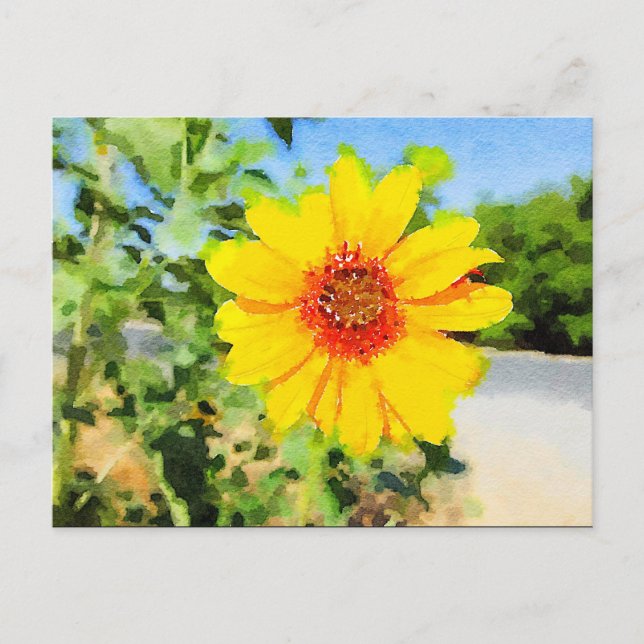 Carte postale Sunflower Watercolor (Devant)