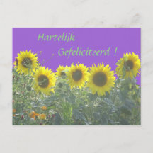 Cartes Postales Anniversaire Neerlandais Originales Zazzle Fr