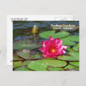 Carte Postale Sunken Gardens nénuphar rose #91 00919191 (Devant / Derrière)
