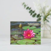 Carte Postale Sunken Gardens nénuphar rose #91 00919191 (Debout devant)