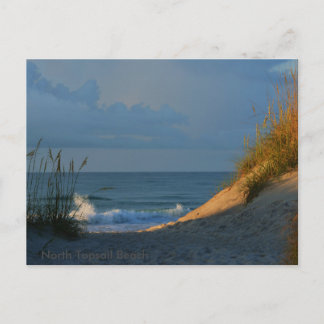 Carte Postale 'Sunlit'