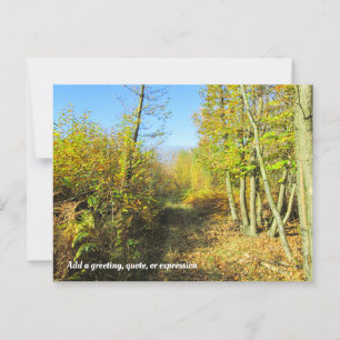 Carte Postale Sunlit Woods en automne - Personnalisé