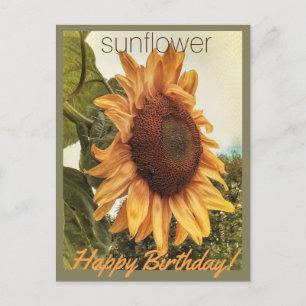 Carte postale Sunny Birthday Wings